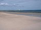 Image: Eurydice pulchra in littoral mobile sand