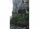Image: Chrysophyceae and Haptophyceae on vertical upper littoral fringe soft rock