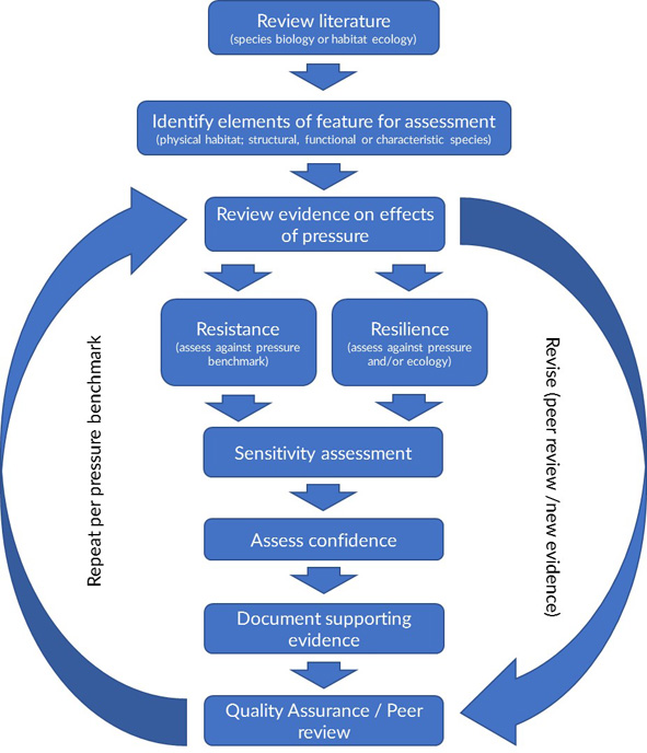 Figure 1. Overview of the sensitivity assessment process. A visual outline of the steps listed in the text.