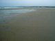 Barren littoral coarse sand