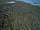 Image: Cirratulids and [Cerastoderma edule] in littoral mixed sediment