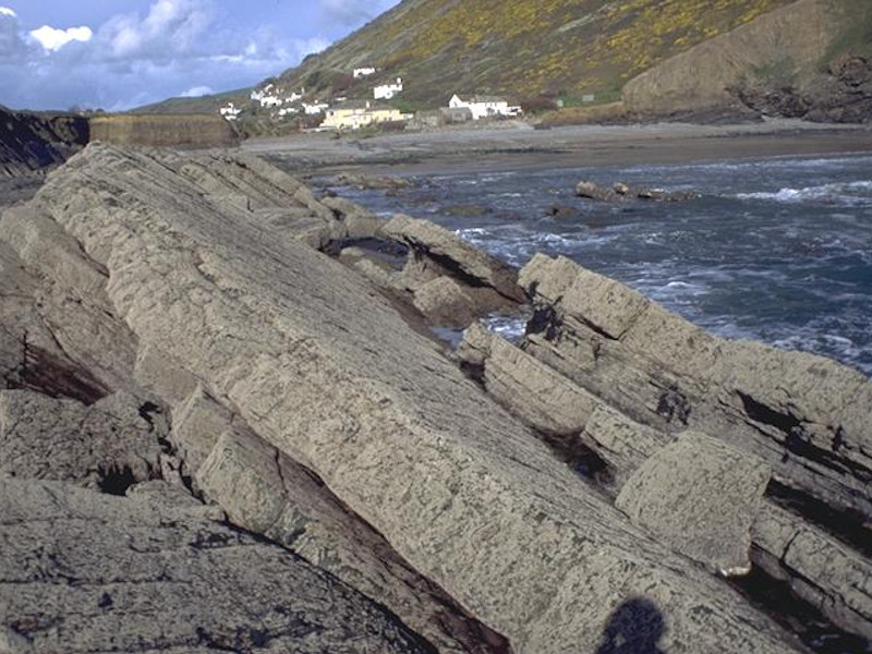 Modal: <em>Chthamalus spp.</em> on exposed upper eulittoral rock