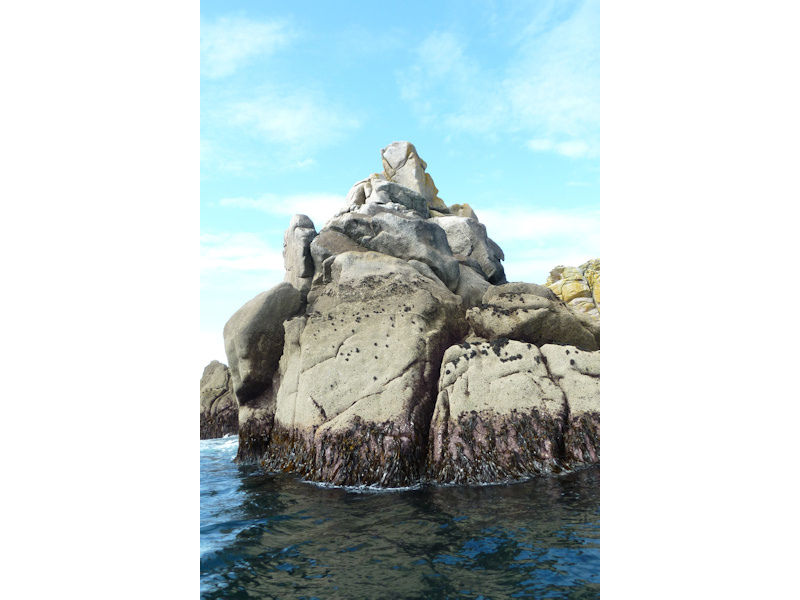 High energy littoral rock