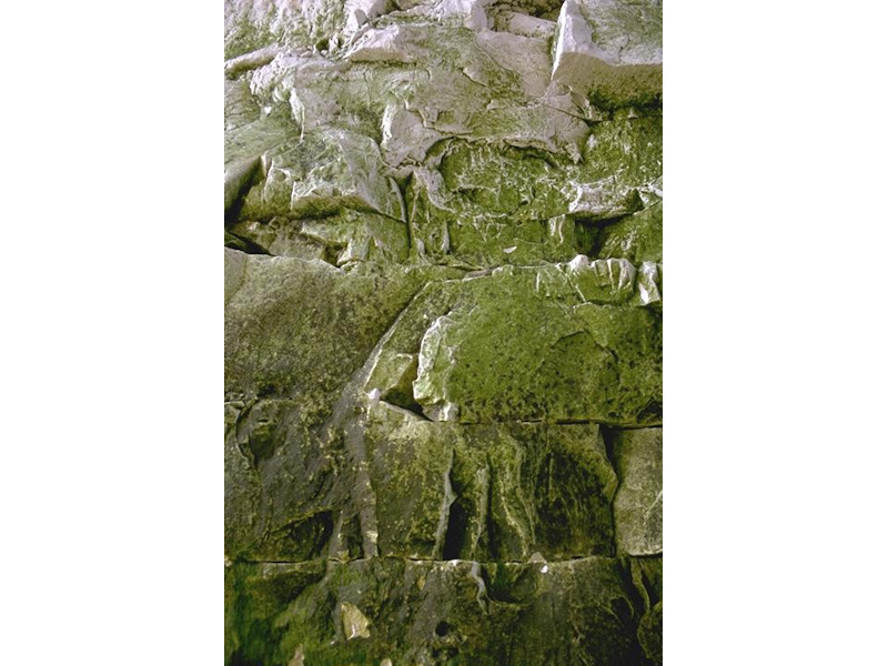 Modal: <em>Ulothrix flacca</em> and <em>Urospora spp.</em> on freshwater-influenced vertical littoral fringe soft rock