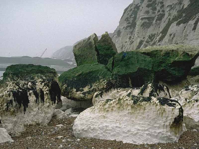 Fallen chalk blocks covered in Enteromorpha.