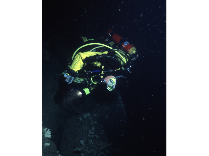 Diver ascending from the seabed.