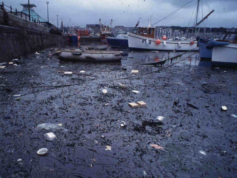 Modal: Litter found in Sutton Harbour, Plymouth (August 1999).