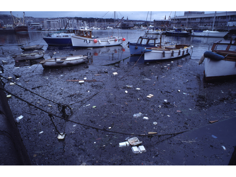 Modal: Litter floating in Sutton harbour.