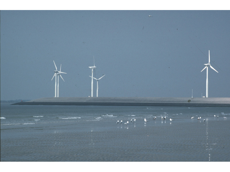 [wind_power]: Blyth windfarm.