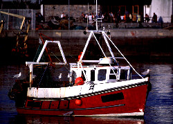 Trawler